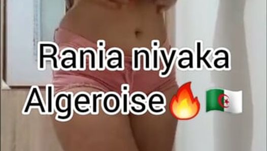 Niyaka kabyle algeroise sawathaa mcha3raa grv